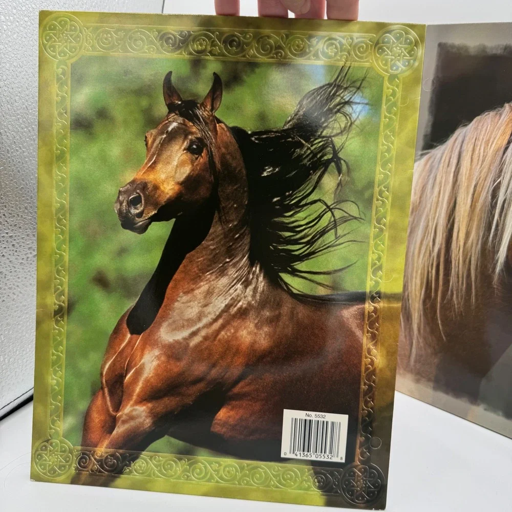Vintage Mead Splendor Horse Folders 2 Pack 2005 Equestrian School Supplies